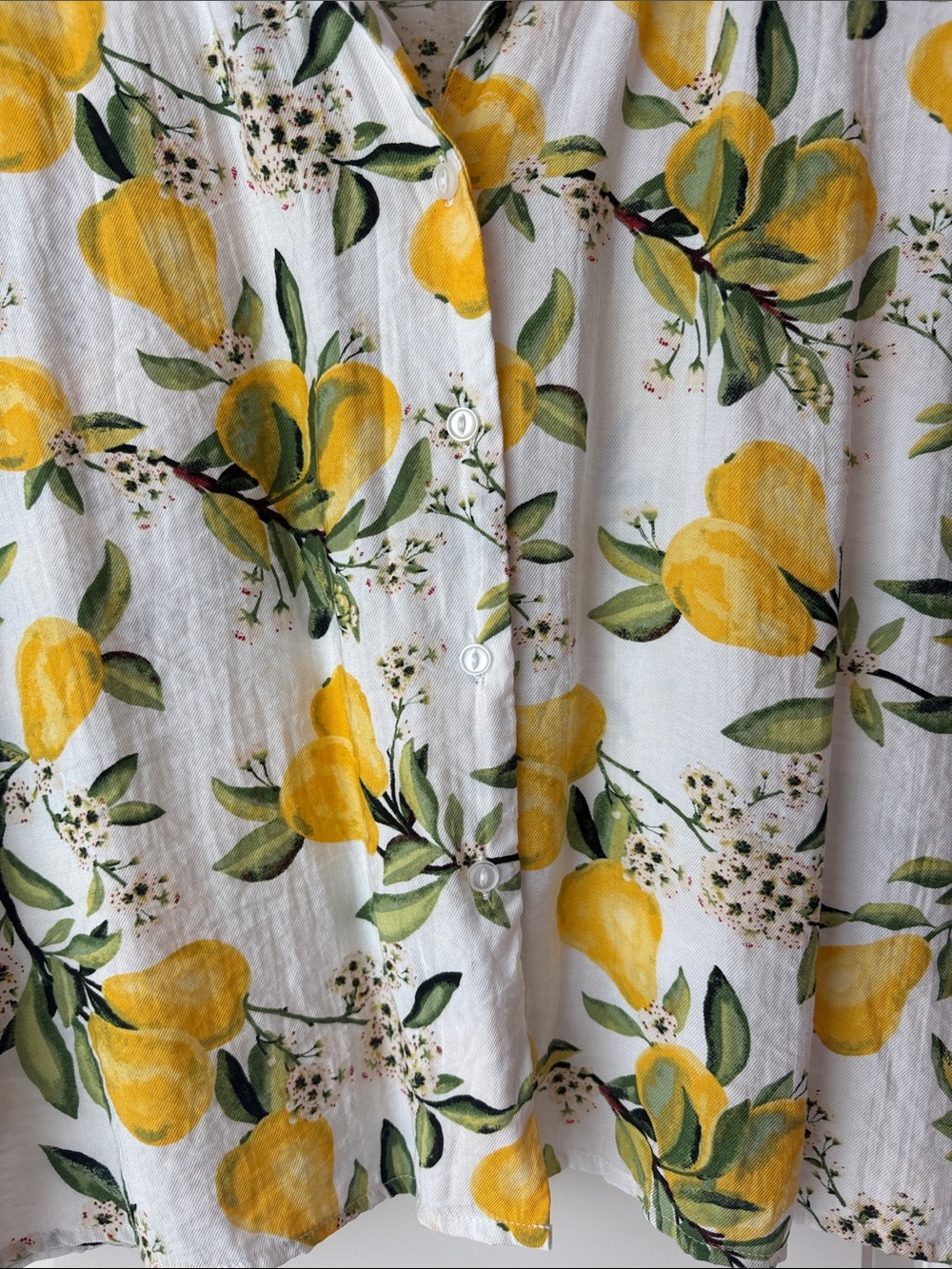 C by One Fruit Print Button-Down Shirt Size XL - Picture 7 of 9